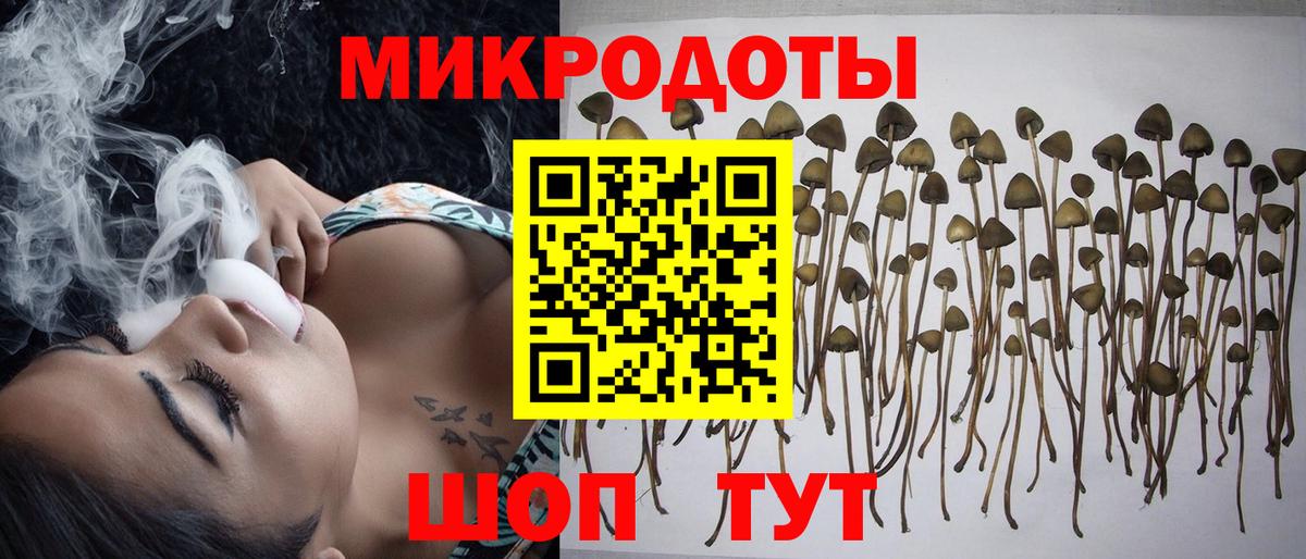 Псилоцибиновые грибы ЛСД  Вход с VPN  Спасск-Дальний 